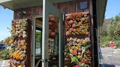 L'entrée et son mur vivant de plantes succulentes