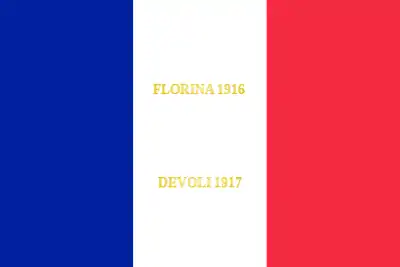 Drapeau du 175e régiment d'infanterie de l'armée française, avec ses batailles.