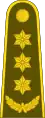 Pulkininkas'(Lithuanian Land Forces)