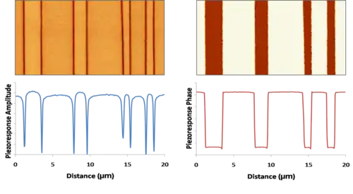 Domaines ferroélectriques à 180° dans un cristal de KTP imagés par PFM