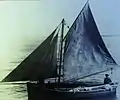 Le sloop goémonier Le Minout vers 1920 (ce bateau appartenait à François-Marie Balcon [de Plouguerneau] ; photo ancienne exposée à l'Écomusée de Plouguerneau).