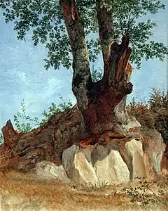 Étude d'arbre. 1822. Huile sur papier marouflé sur carton, 25,6 x 23 cm. Kunsthalle, Hamburg