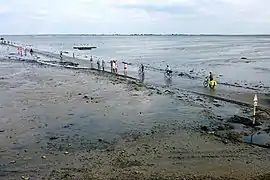 Passage du Gois alors que la mer se retire.