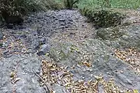Lit du ruisseau de la Roche à sec (août 2022). Au premier plan, des blocs de poudingue, au second plan, des grès pourpres.