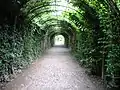 Jardin (de) du château Mirabell à Salzbourg.