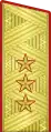 Insigne de colonel-général(uniforme de service de l'Armée de terre).