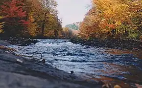 Saint-Alban, rivière Noire, dévidoir du lac Long