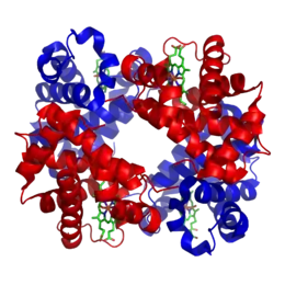 Description de l'image 1GZX Haemoglobin.png.