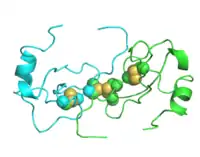 Image illustrative de l’article Protéine inflammatoire macrophagique