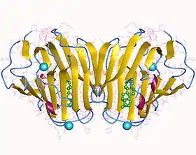 Image illustrative de l’article Sex hormone-binding globulin