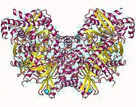 Image illustrative de l’article Hexokinase