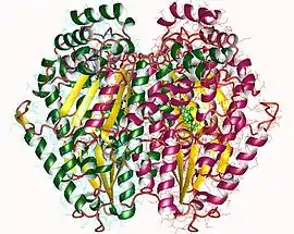 Image illustrative de l’article Glucose-6-phosphate isomérase