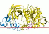 Image illustrative de l’article Enzymes pancréatiques (médicament)