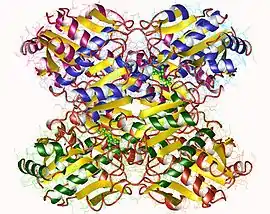 Image illustrative de l’article Phosphofructokinase-1