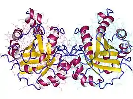 Image illustrative de l’article Triose-phosphate isomérase