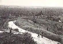 Photo en noir et blanc d'un groupe de soldats marchant sur un chemin dans une jungle clairsemée.
