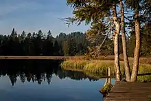 Etang de la Gruère en automne