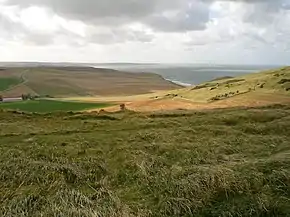 Végétation herbeuse du cap Blanc-Nez.