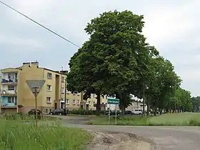 Henrykowo (Leszno)