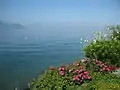 Vue du lac léman depuis Montreux en direction de l'ouest.