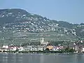 Vue de Vevey dominée par Chardonne et Jongny.