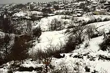 Neige sur Ano Birsini, Rhodopes (Grèce) en 2009