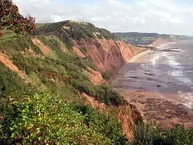 Falaise avec vue sur la plage de Sidmouth.