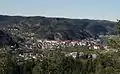 Vue d'ensemble de Vigeland