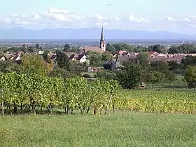 Wuenheim