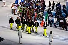 Photographie de l'entrée de la délégation irlandaise lors de la cérémonie d'ouverture.