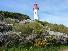 Le phare de Port Manec'h.