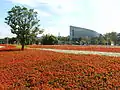 Parterre de fleurs aux floralies de Taipei de 2010 (en). Au loin, l'EcoARK et le gratte-ciel Taipei 101.