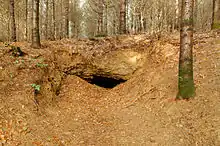 Un trou sous la roche dans la forêt en hiver.