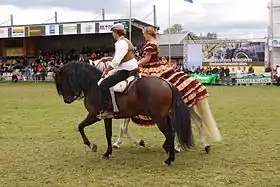 Démonstration de chevaux en 2011