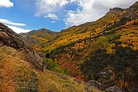 Image illustrative de l’article Forêt nationale de Humboldt-Toiyabe