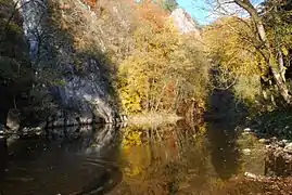 Reflets des rochers de Sy dans l'Ourthe.