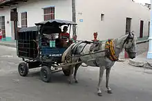 Véhicule hippomobile en métal attelé d'un cheval gris et consistant en une cage avec un cochon à l'intérieur.