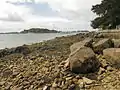 La Pointe d'Arradon dans le Golfe du Morbihan et, à l'arrière-plan la pointe du Trec'h dans l'Île aux Moines.