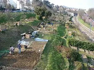 Vue des jardins familiaux depuis la passerelle côté Saint-Cloud.