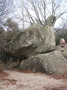photo d'un bloc rocheux gris dont la forme rappelle une oie avec son cou et sa tête. Une personne donne l'échelle : environ 3 m de haut sur 5-6 m de long.