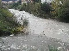 Confluence du Mondony dans le Tech à Amélie-les-Bains