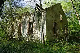 Petite maison en ruine envahi par la végétation hiver