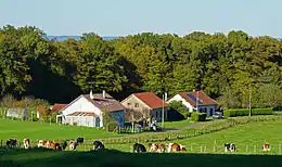 Un groupe de trois anciennes maisons dont deux rénovées.