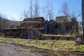 Bâtiment gris en ruine dans la verdure jaunie par l'hiver.