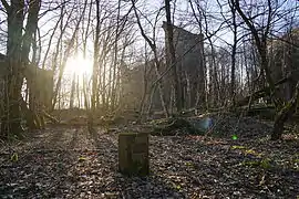 Une borne entre les arbres, la silhouette d'un bâtiment apparaît à l'arrière plan.