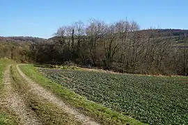 Vue générale avec le terril.