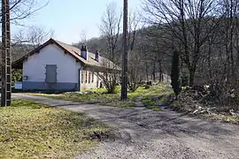 Un bâtiment simple et long vue derrière un rideau d'arbre sans feuille.