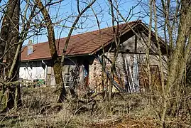 Un bâtiment simple et long vue derrière un rideau d'arbre sans feuille.