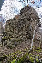 Des ruines de murs formant un massif pyramidal au milieu de la végétation jaunie en hiver.