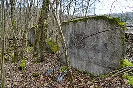 Un mur en agglos crépis au milieu de blocs de pierres recouverts par la végétation.